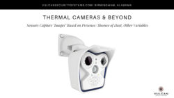 thermal security cameras and beyond