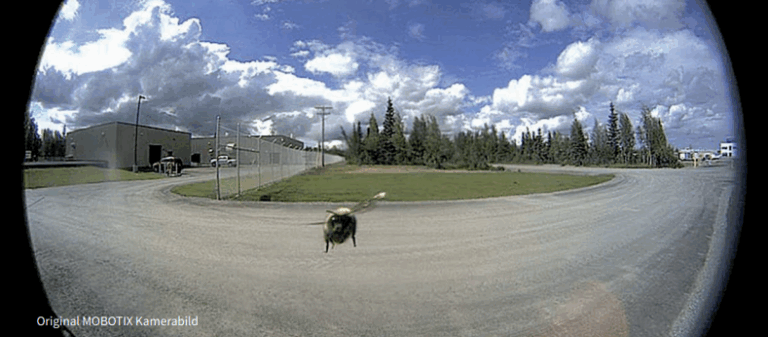 Megapixels Matter In IP Video Cameras